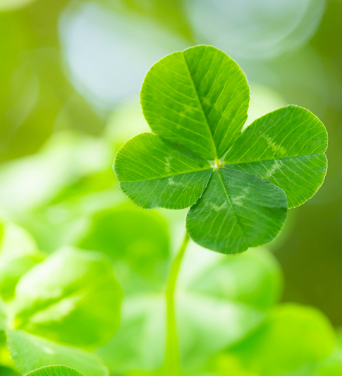 ATS ‘four core values': rooted in the past and looking to the future